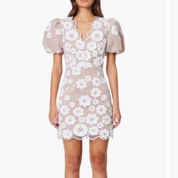 Elliatt Elodie Floral Appliqué Mini Dress - Picture 2 of 10